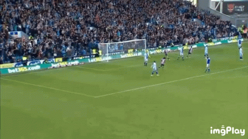 Soccer Game In Front Of Crowd With Bet365 And Bwin Ads GIF