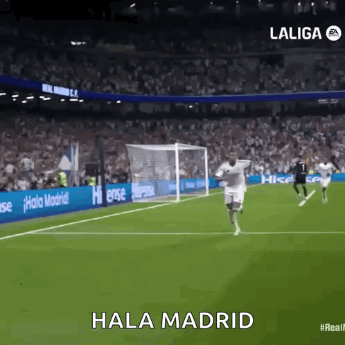 Soccer Game in Stadium Hala Madrid