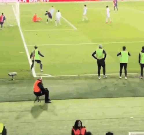 Soccer Game in Stadium with Estrella Damm Ads