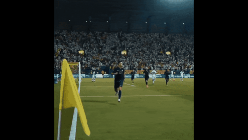 Soccer Game in Stadium with Yellow Flag