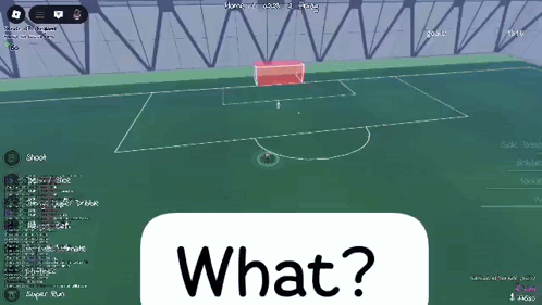 Soccer Game on Computer Screen Saying What