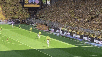 Soccer Game With BWIN Banners