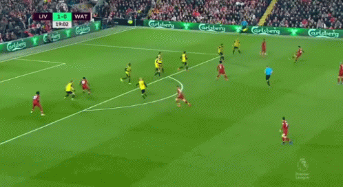 Soccer Game with Carlsberg Advertisements