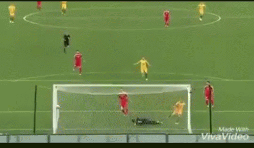 Soccer Game With Toyota Advertisements
