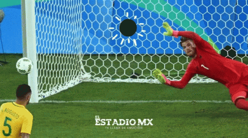 Soccer Goalie Diving For Ball With Number 5 GIF