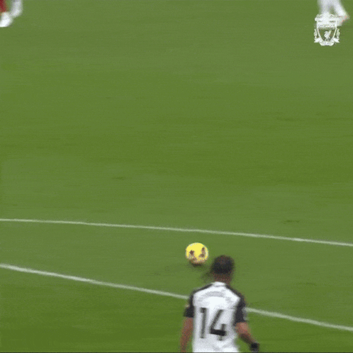 Soccer Goalie Diving to Catch Ball
