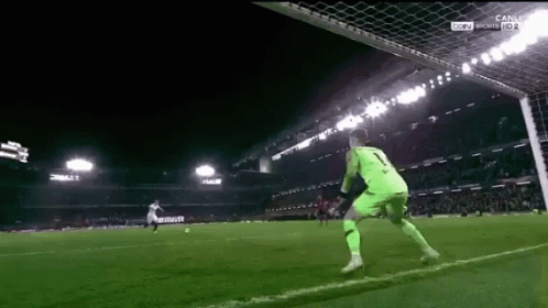 Soccer Goalie in Green Jersey Number 1 in Front of Goal