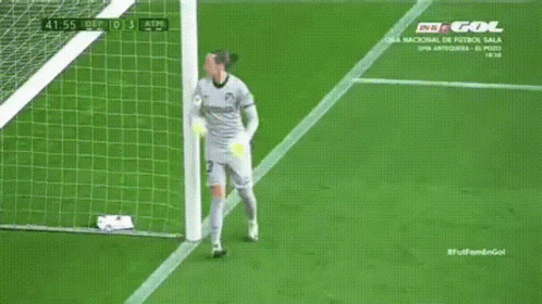 Soccer Goalie Number 13 GIF