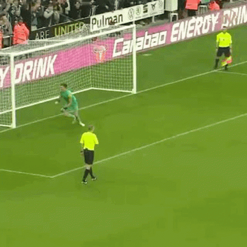 Soccer Goalkeeper Catching Ball