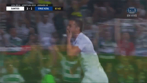 Soccer Match Santos vs Cruz Azul
