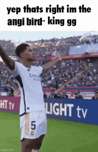 Soccer Player Arms Up Light TV Sign