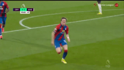 Soccer Player Celebrates Goal