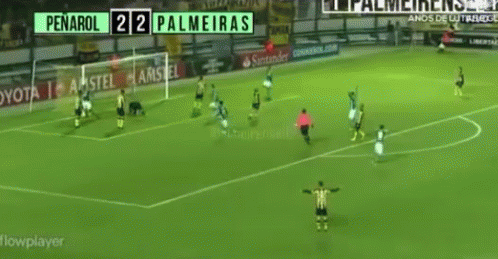 Soccer Player Celebrating Goal at Toyota Sign