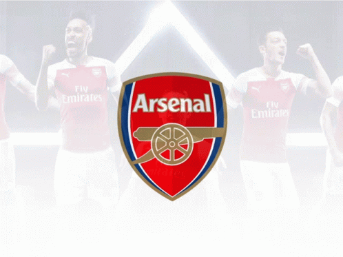 Soccer Player Celebrating Goal in Fly Emirates Jersey