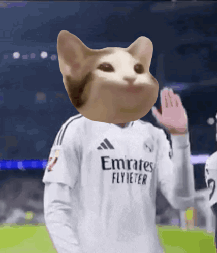 Soccer Player in Cat Head Jersey Saying Emirates Flybeter