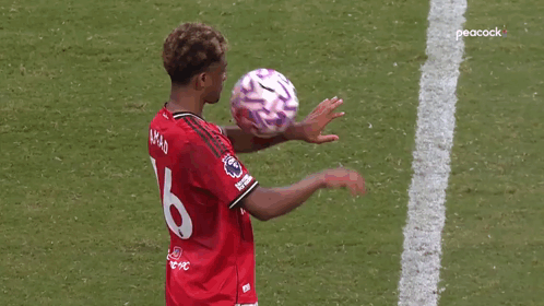 Soccer Player in Red Jersey Number 6