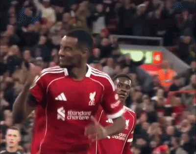 Soccer Player In Red Jersey Saying Standard Chartere GIF