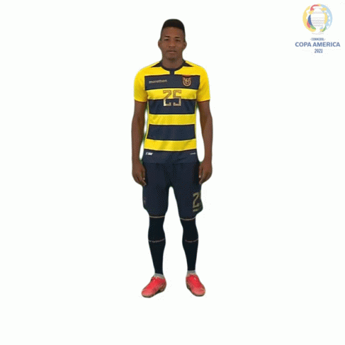 Soccer Player in Yellow and Blue Uniform 26