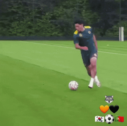 Soccer Player Kicking Ball GIF