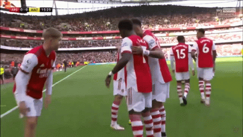 Soccer Player Laying on Ground in Front of Crowd
