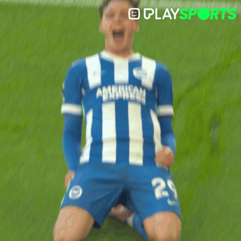 Soccer Player Number 29 Celebrating Goal GIF