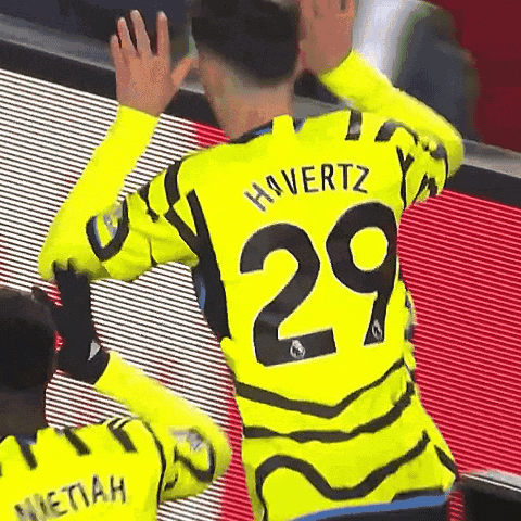Soccer Player Number 29