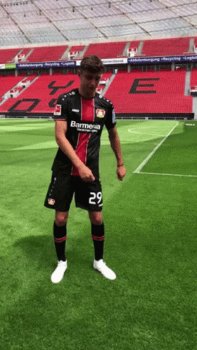 Soccer Player Number 29 Standing