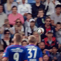 Soccer Player Number 37 Blue Jersey Crowd