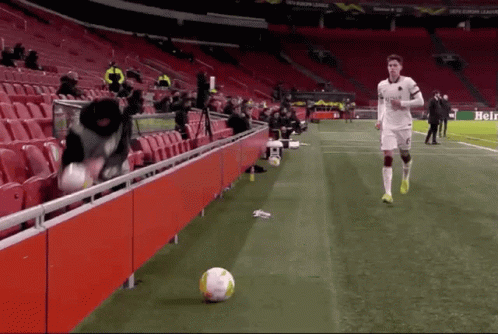 Soccer Player On Field With Heineken Sign GIF