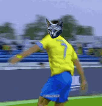 Soccer Player With Cat Face and Number 7