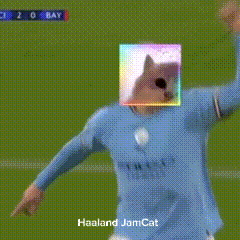 Soccer Player with Cat on Head