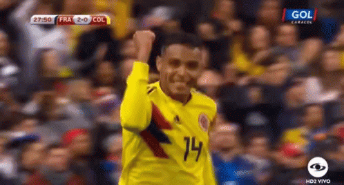 Soccer Player Yellow Jersey Number 14 Raising Fist
