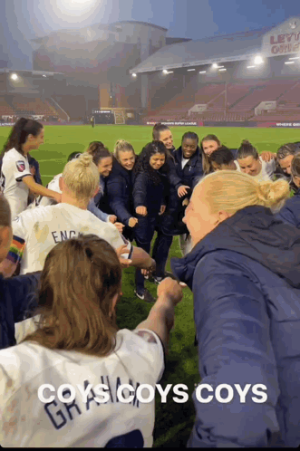 Soccer Players Huddled With Cows Coys Coys