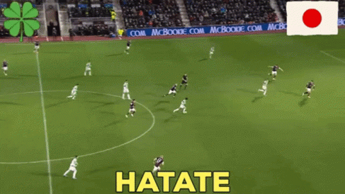 Soccer Players on Field Hatate