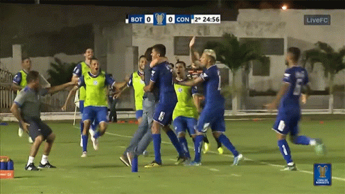 Soccer Players On Field With LIVE FC Logo GIF