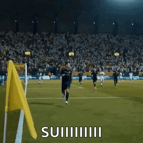 Soccer Players Running With Suiiii Flag GIF