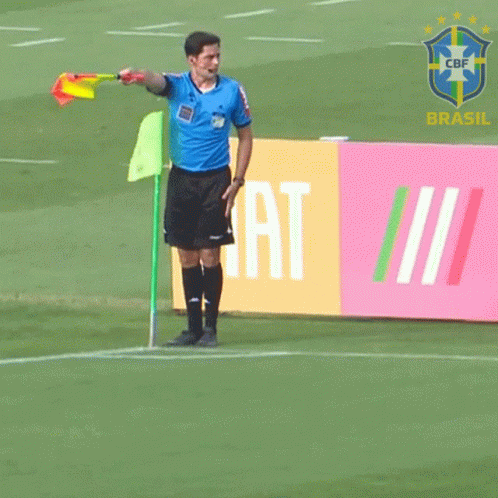 Soccer Referee Holding Flag in Front of Brasil Sign