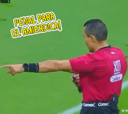 Soccer Referee Pointing Penalty
