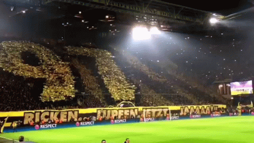 Soccer Stadium With Ricken Banner