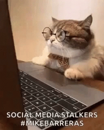 Social Media Stalkers Mike Barreras GIF