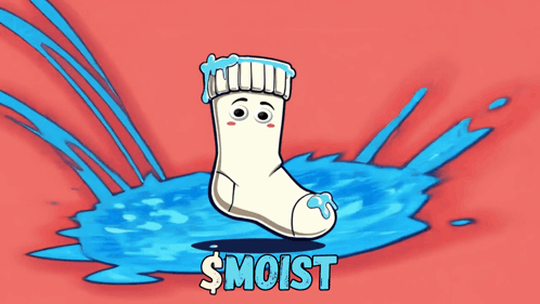 Sock With Face Saying Wet Waves Incoming Smoist