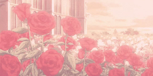 Soft Aesthetic Color Red Flowers GIF
