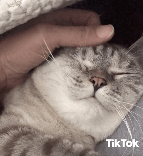 Soft GIF