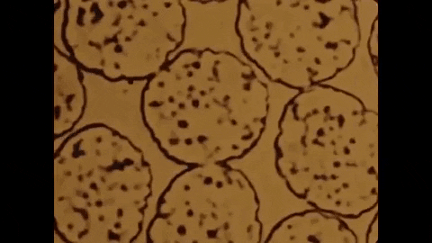 Solar System Galaxy GIF