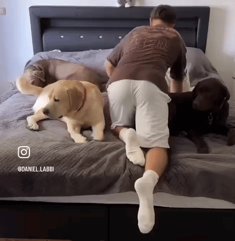 Soldier Holding Gun In Dark Room #ModernWarfare GIF