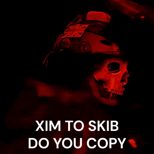 Soldier Skull Vim to Skib Do You Copy