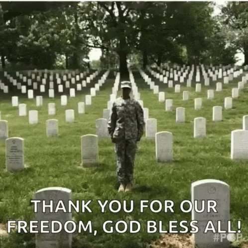 Soldier Standing in Cemetery Thank You for Our Freedom