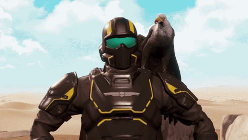 Soldier With Bird On Shoulder And Skull Helmet GIF