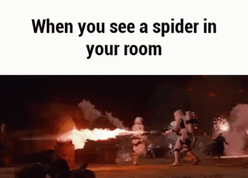 Soldiers Burning Scary Spider GIF