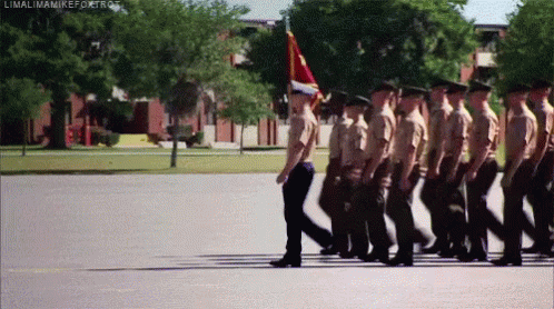 Soldiers Marching In Line With Flag GIF